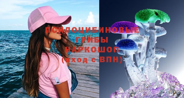 шишки Орск