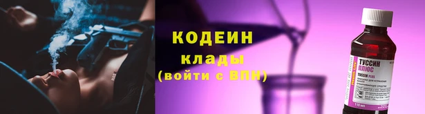 СК Покачи